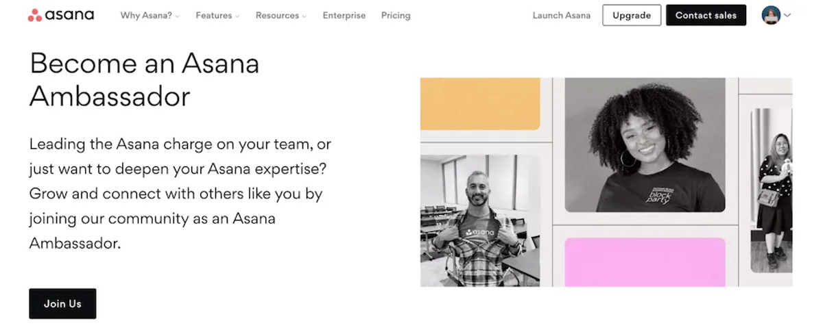 Use CLV insights to double down on customer retention programs like Asana