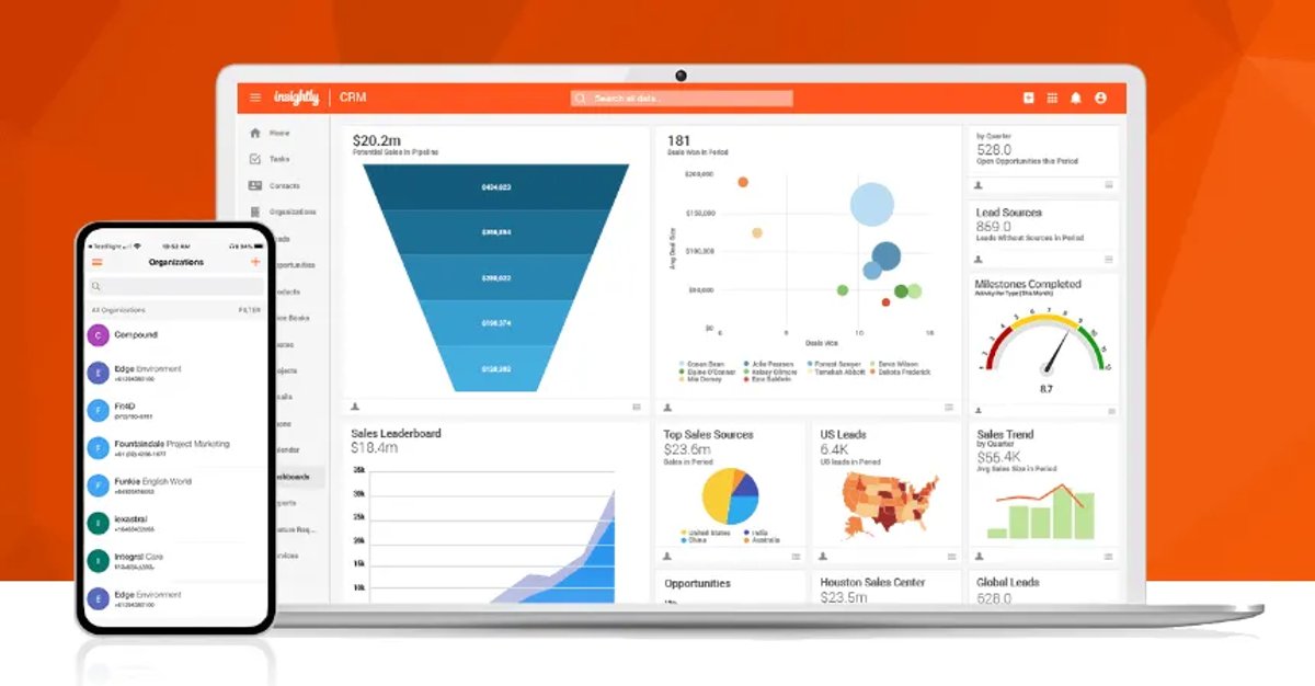 Insightly crm for consultants