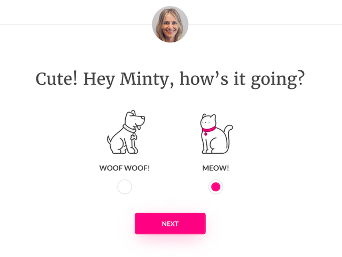 Lemonade conversational lead capture form example
