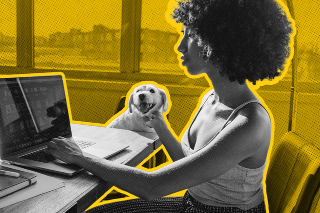Customer Loyalty in the Era of Unlimited Choices: How to Build & Maintain It