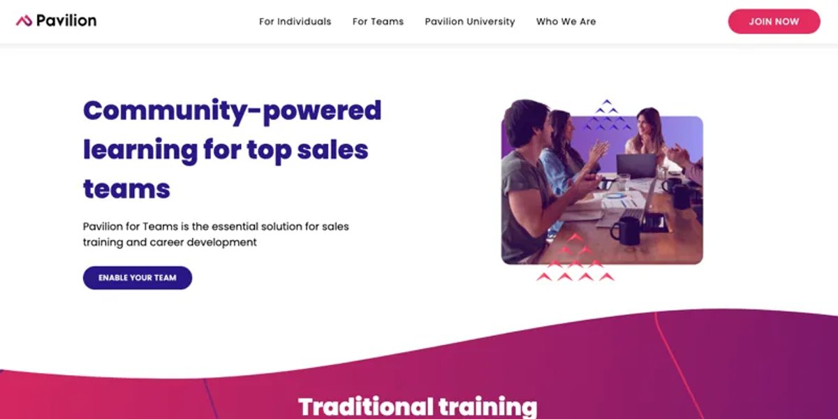 Online Communities of Sales Mentors