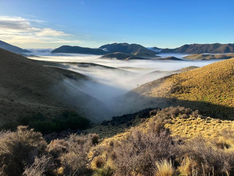 High Peak Hunting NZ gallery photo 4