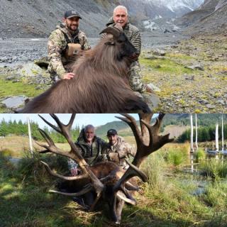 Collage of New Zealand hunts: hunters posing with a red stag, bull tahr & chamois