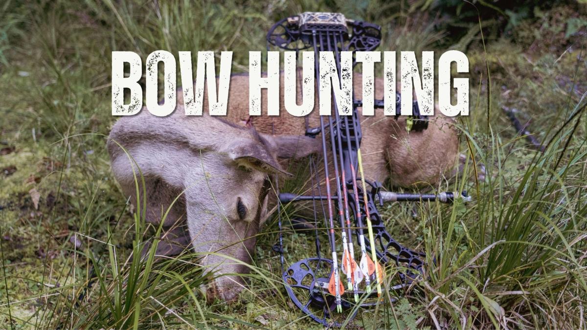 A compound bow with fletched arrows propped against a harvested deer lying in long grass and bush, with the words "Bow Hunting" in bold distressed lettering across the top.