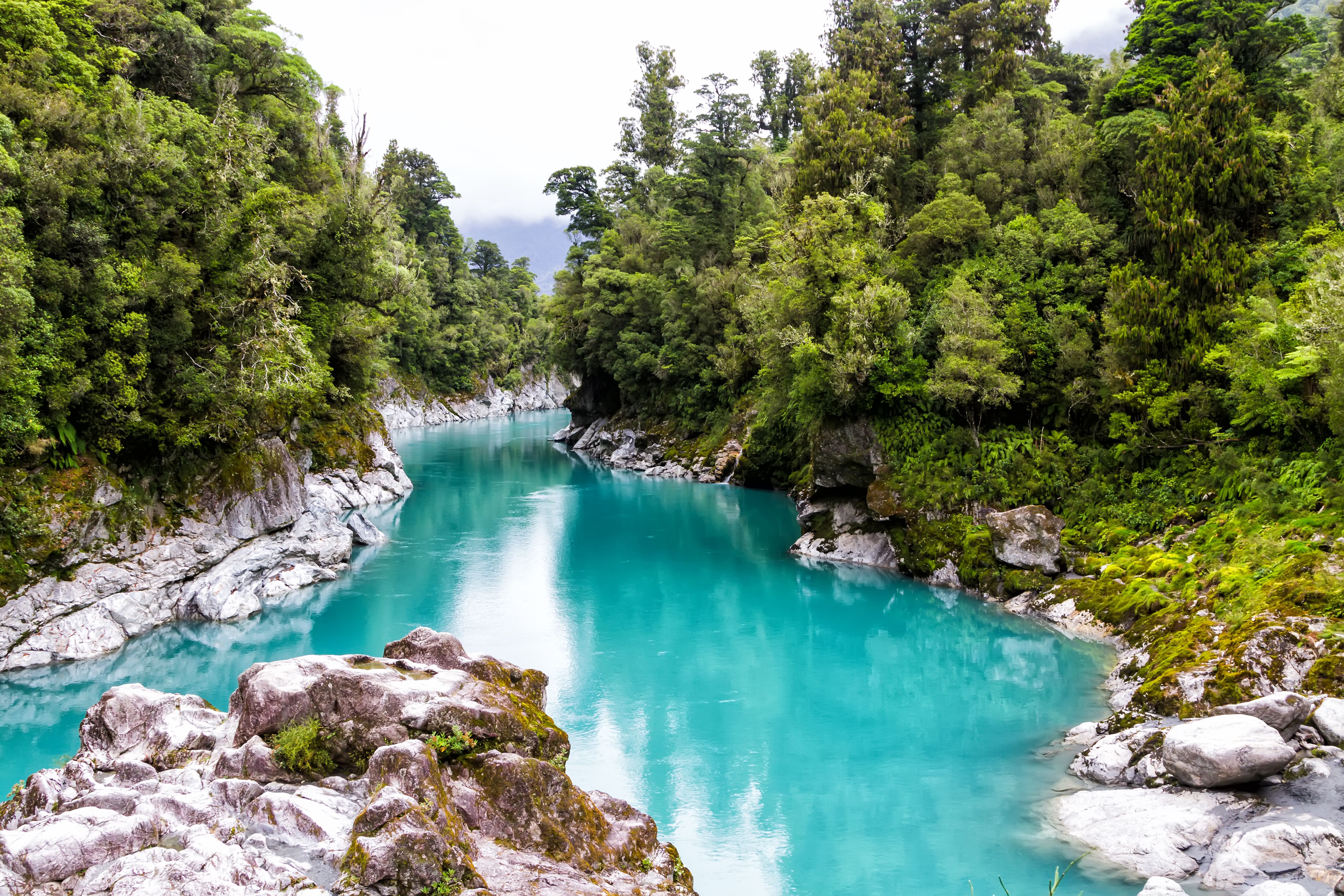 Turquoise river pooling between white boulders in thick rainforest