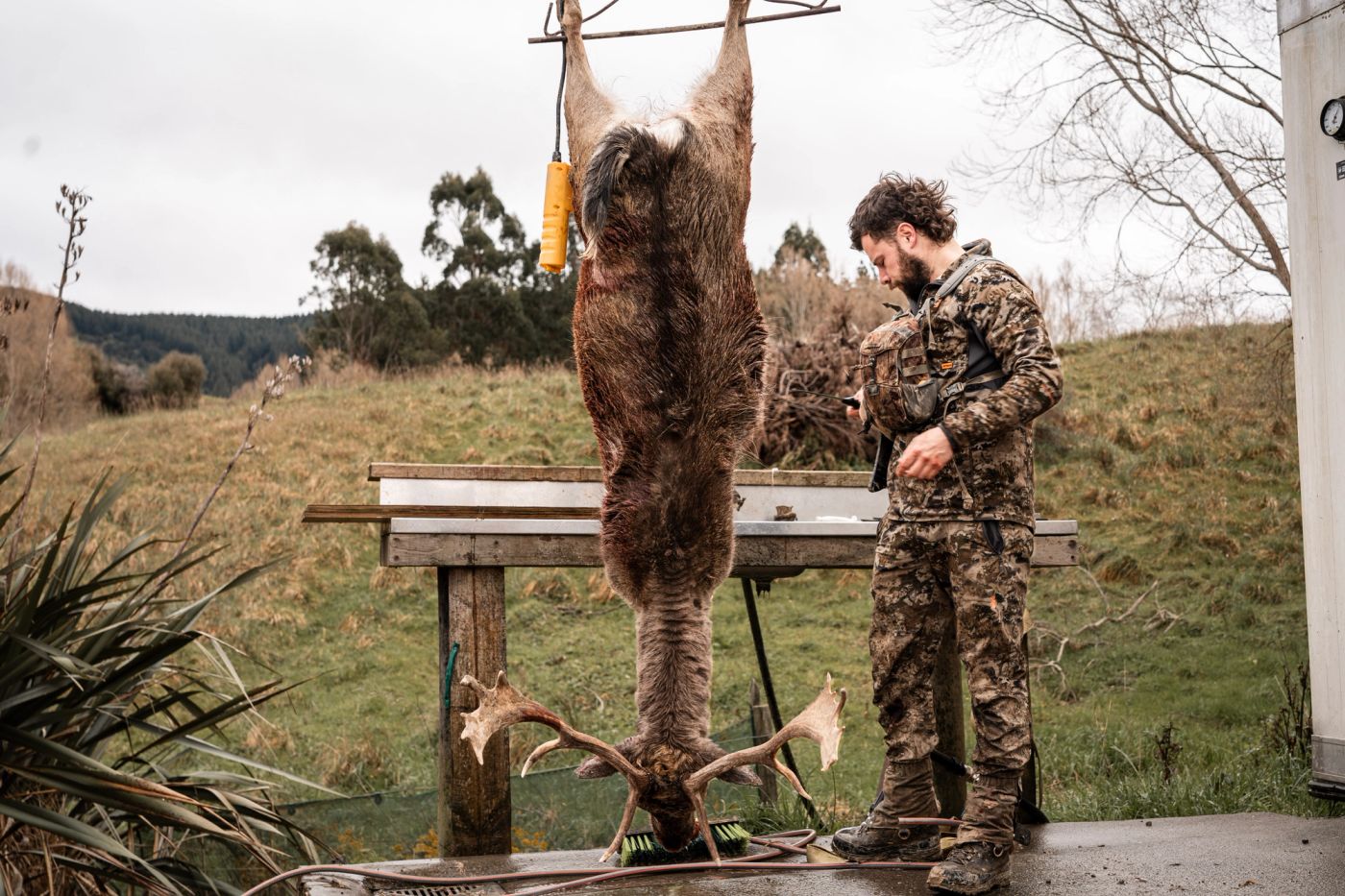 A hunter in camouflage stands beside a large stag hanging upside down outdoors, with antlers near the ground and a grassy rural landscape in the background.