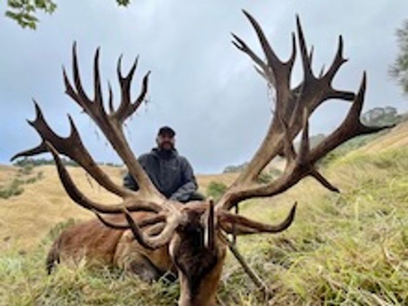Mountain Hunters (NZ) gallery photo 9