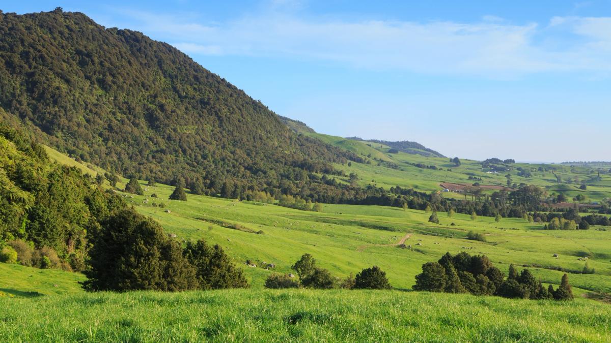Green farmland valley meeting bush-covered hills