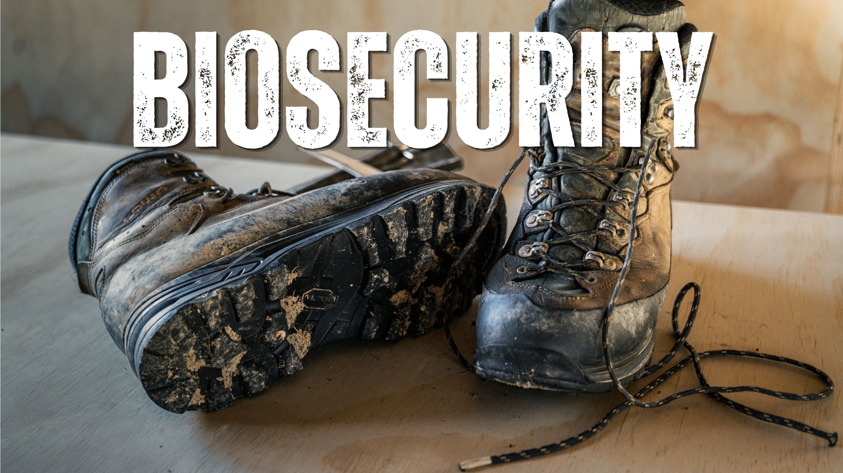 Muddy hiking boots on a plywood surface, one resting on its side to show a dirt-caked Vibram sole, with the word "Biosecurity" in bold distressed lettering