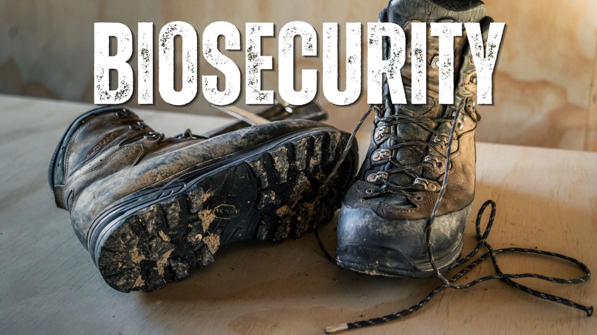 Muddy hiking boots on a plywood surface, one resting on its side to show a dirt-caked Vibram sole, with the word "Biosecurity" in bold distressed lettering