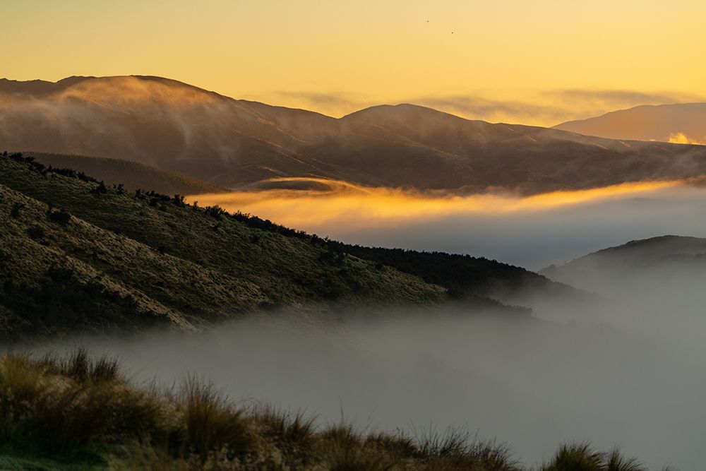 High Peak Hunting NZ gallery photo 7