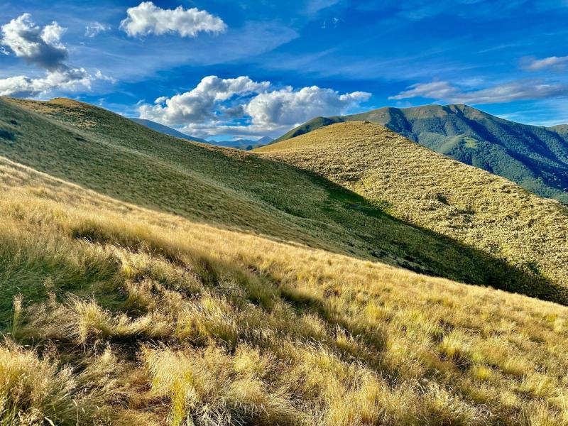High Peak Hunting NZ gallery photo 2
