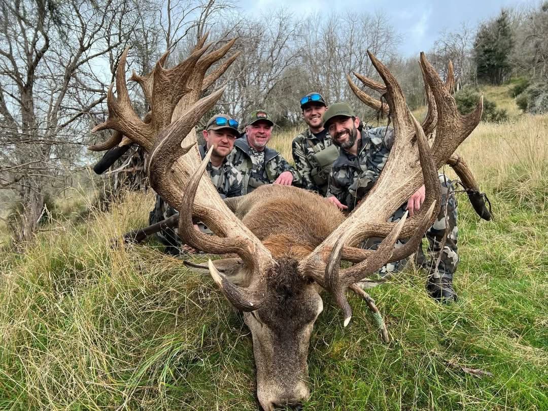 Four hunters four stags