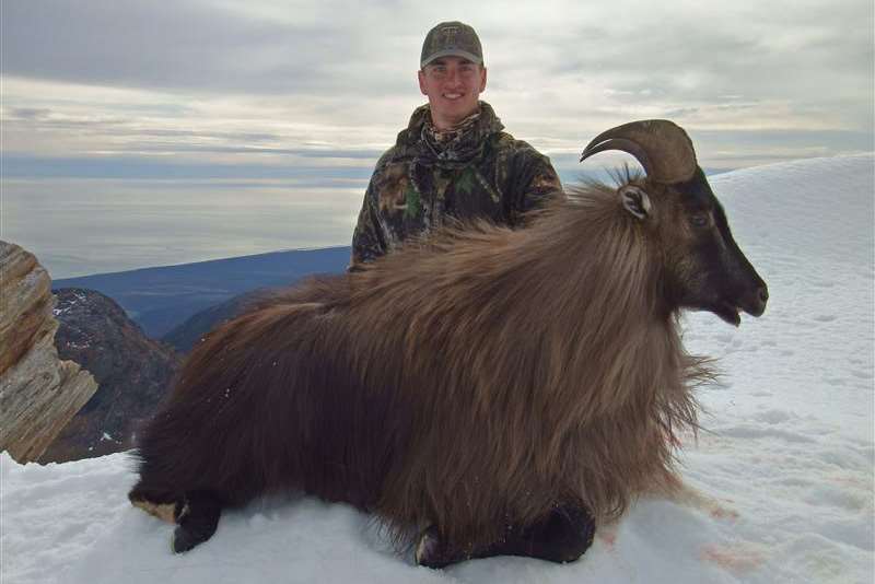 Tahr and Chamois Add On - Southern Alps