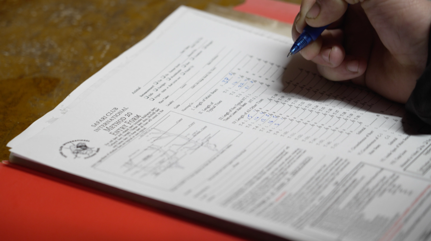 A hand filling in a Safari Club International Method 20 entry form, with tine and main beam measurements written in blue pen