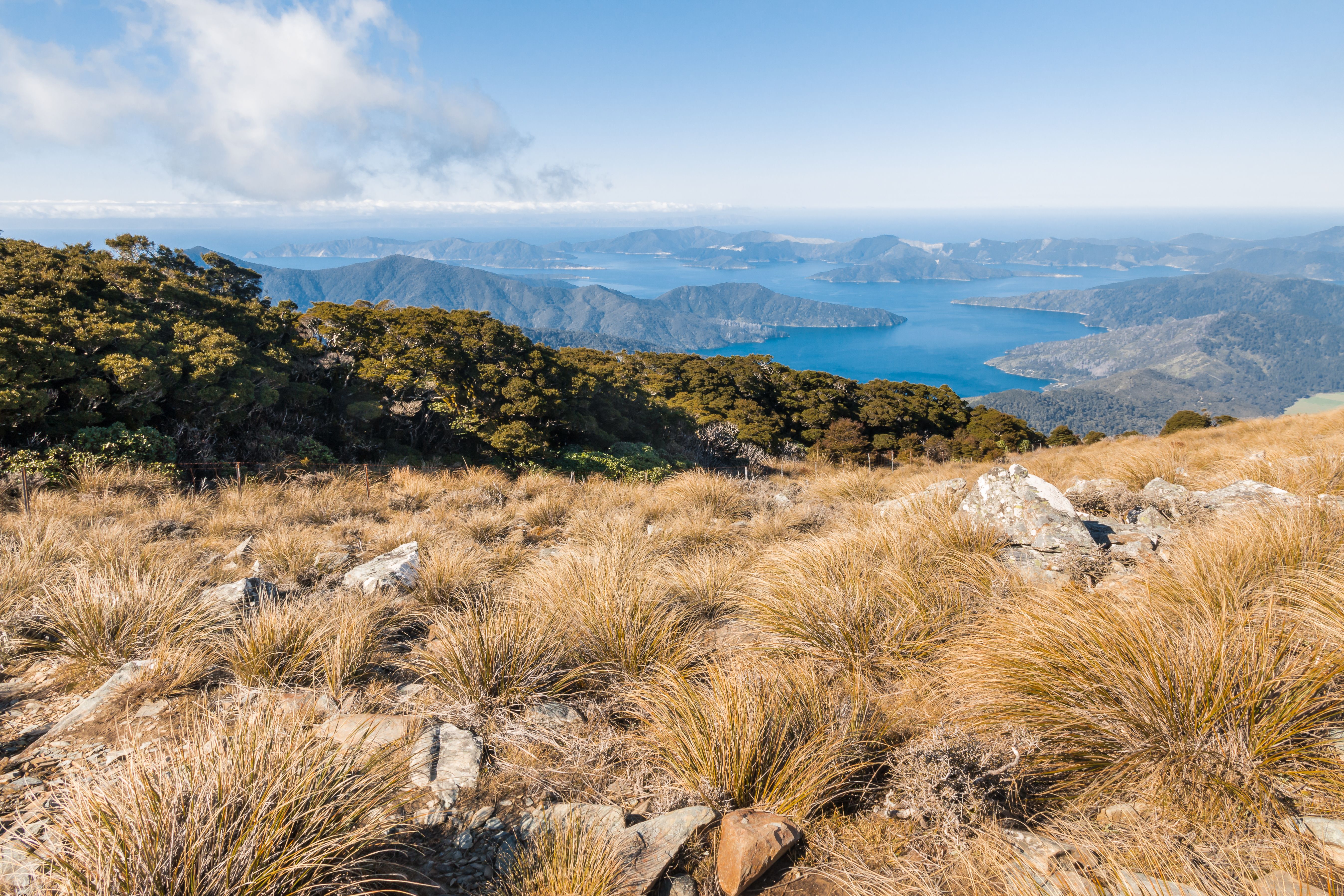 Tussock tops looking down over the Marlborough Sounds