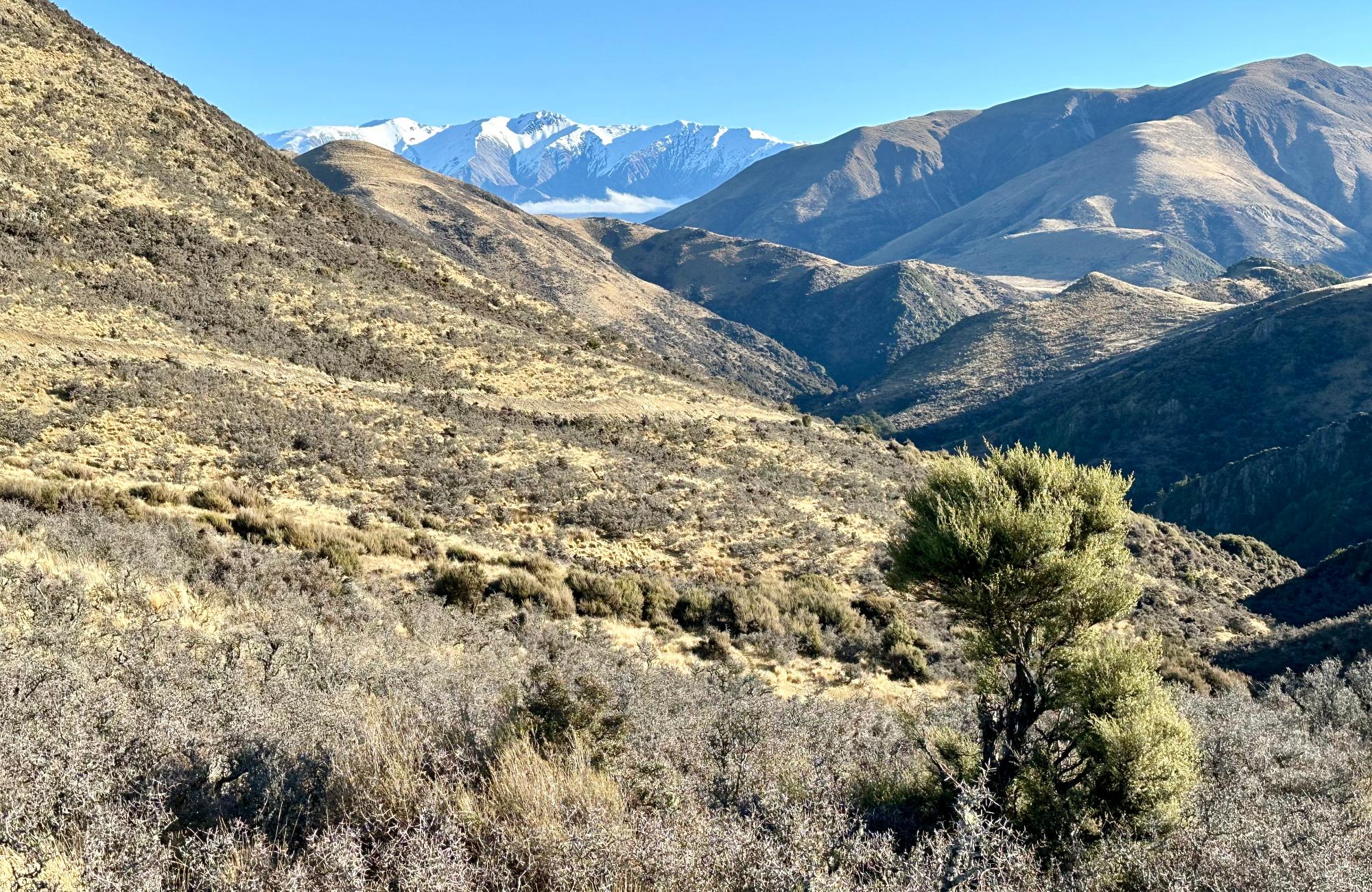 High Peak Hunting NZ gallery photo 6