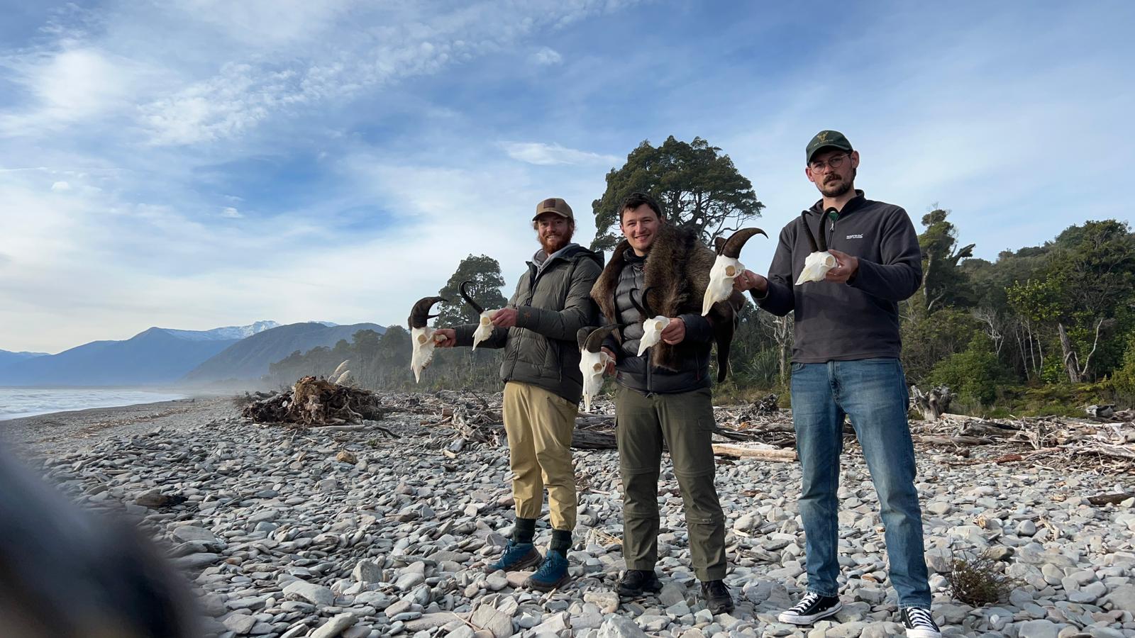 Tahr And Chamois Wilderness Hunt Combo