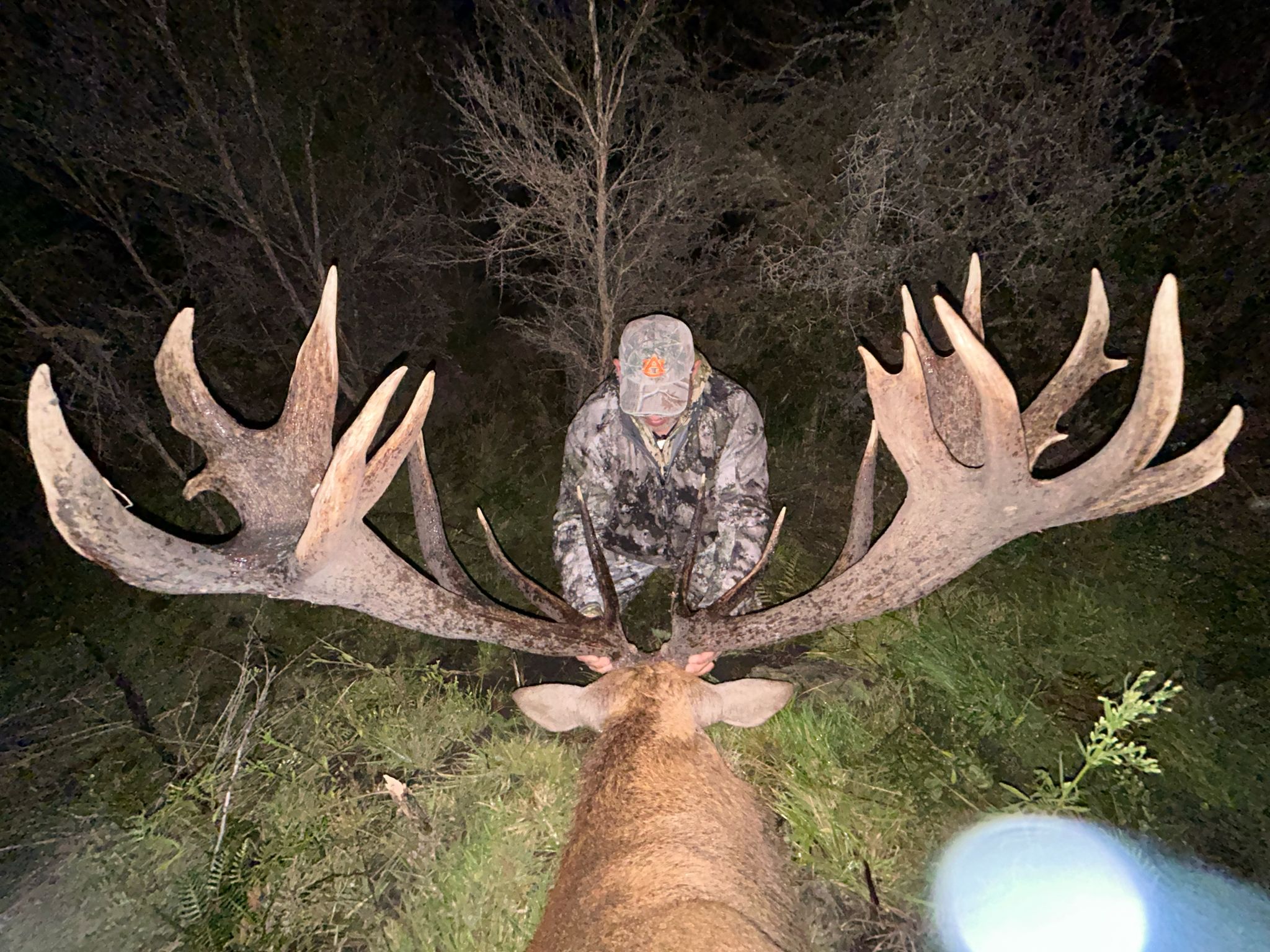 Red Stag Ranch Hunt