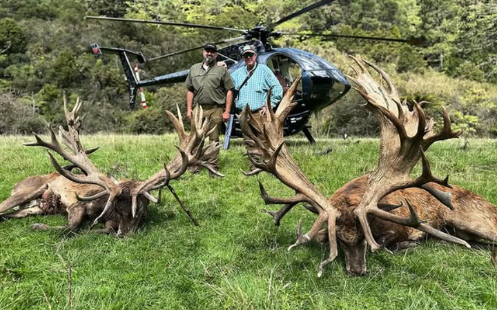 Kuranui Hunting New Zealand