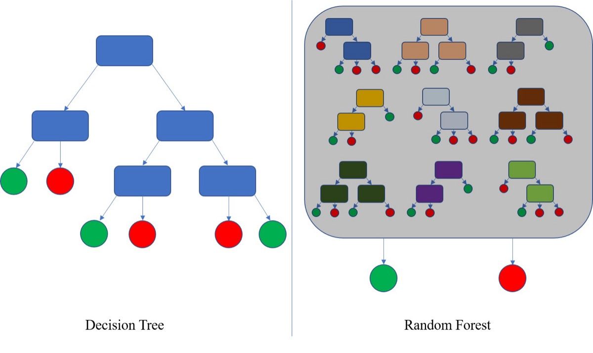 Perbandingan visual antara decision tree tunggal dan Random Forest