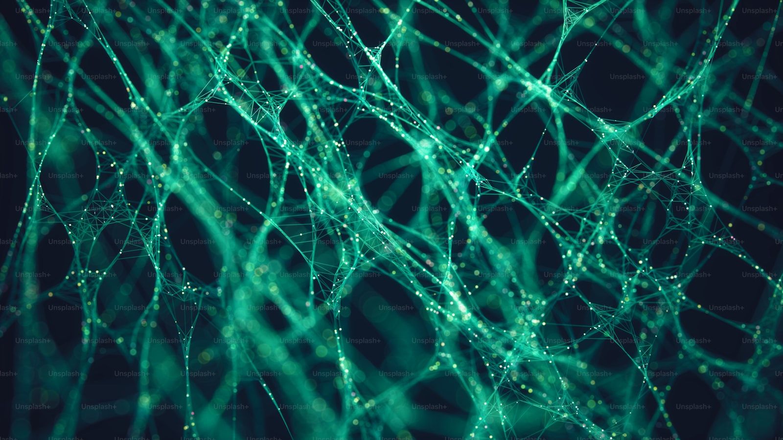 Memahami Vision Transformer (ViT): Implementasi Arsitektur Attention untuk Klasifikasi Gambar dengan PyTorch
