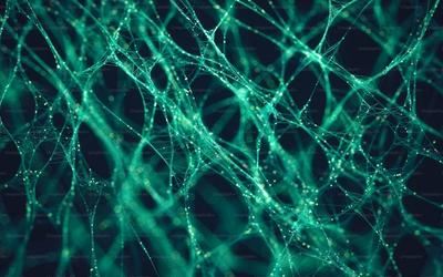 Memahami Vision Transformer (ViT): Implementasi Arsitektur Attention untuk Klasifikasi Gambar dengan PyTorch