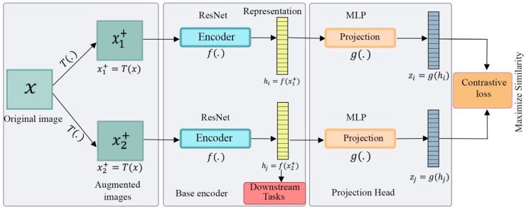 Diagram arsitektur SimCLR dengan dua view, encoder bersama, projection head, dan contrastive loss