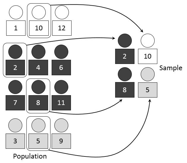 Ilustrasi Stratified Sampling — populasi dibagi ke dalam strata, lalu sampel diambil dari setiap strata secara proporsional