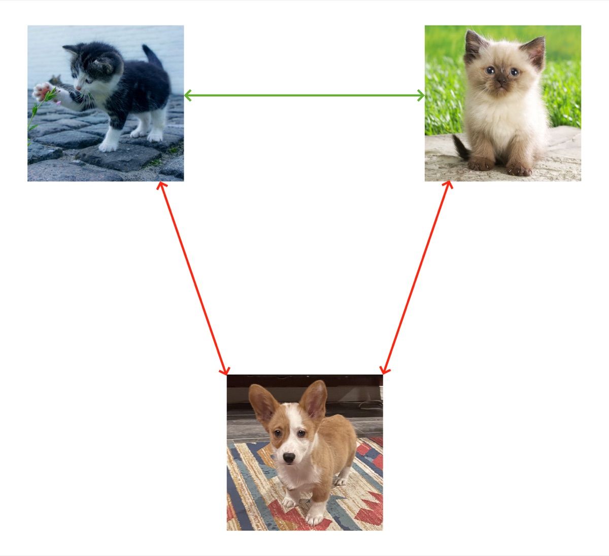 Diagram positive pair dan negative pair pada contrastive learning