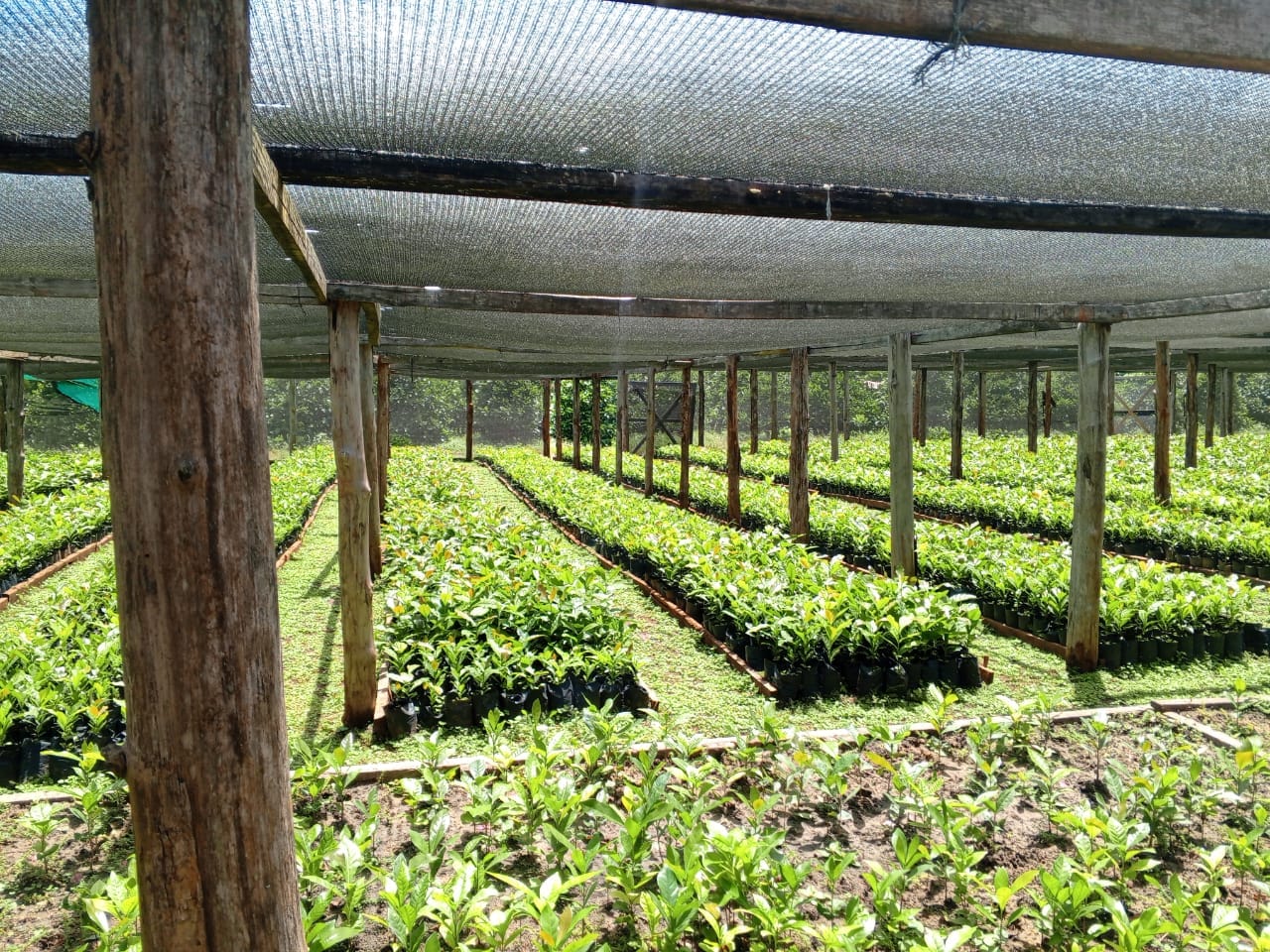 Sourcing