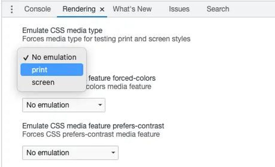 Chrome - Print rendering option