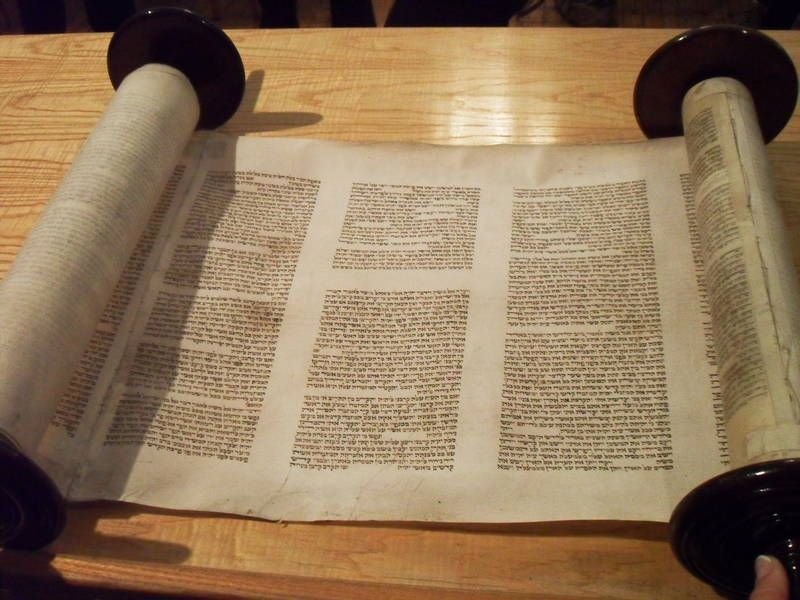 Our Czech Torah Scrolls