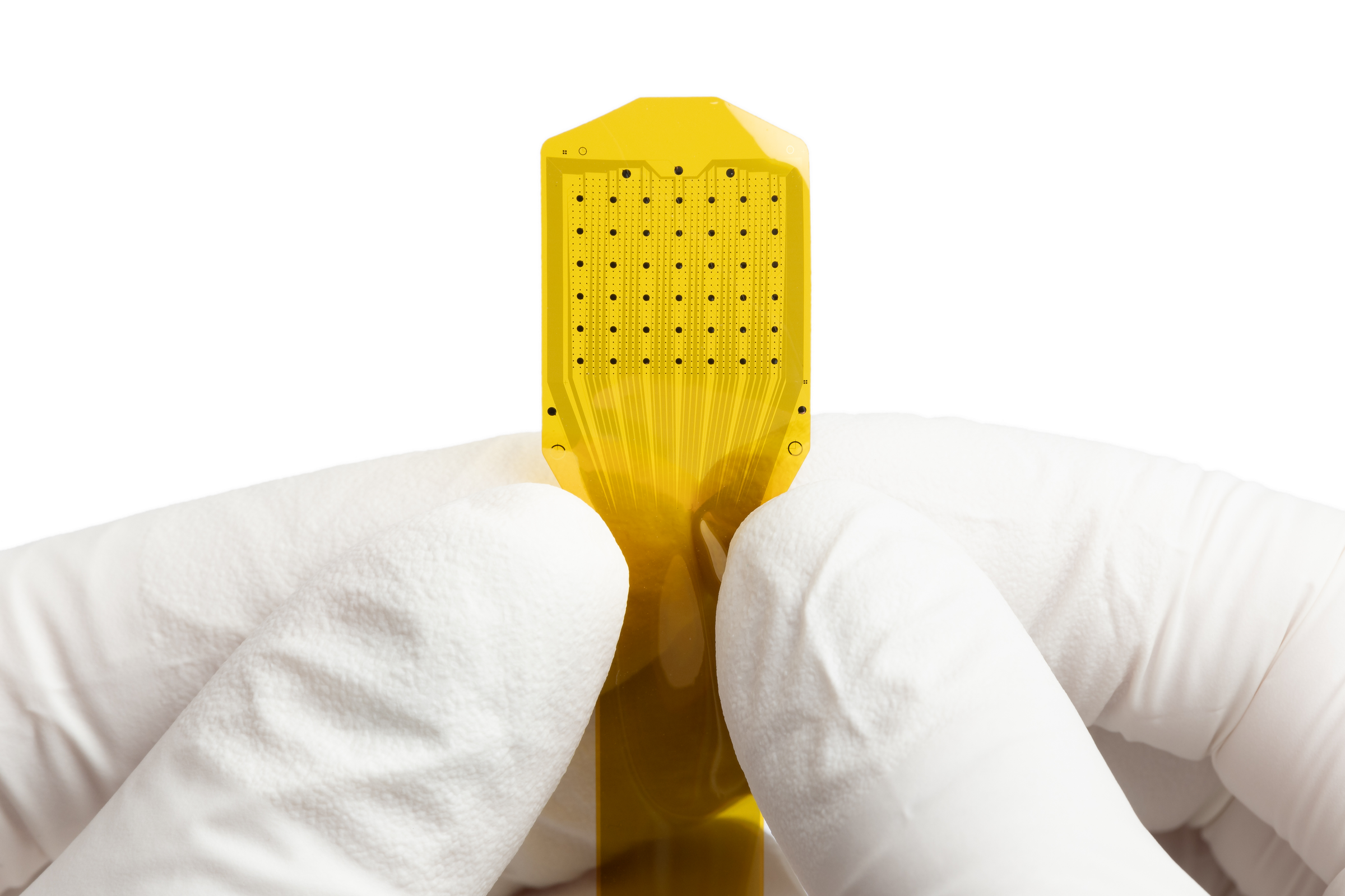 Precision Cells Precision - Precision
