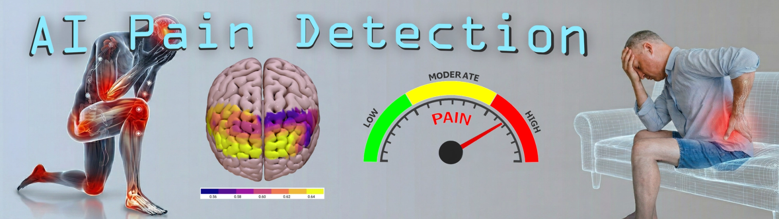 Multimodal Signal Processing for Objective Human Pain Assessment