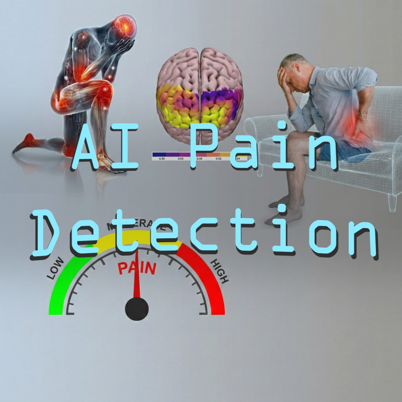 Multimodal Signal Processing for Objective Human Pain Assessment