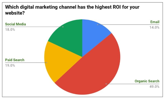 Pie chart showing which digital marketing channel has the highest ROI for website