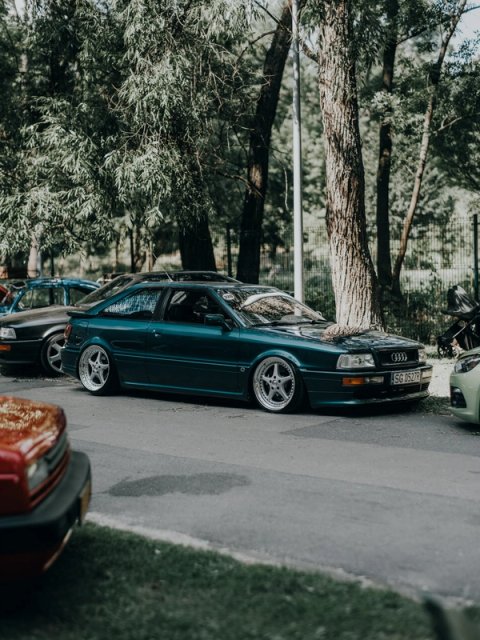 Dark green Audi 80 Coupé on polished three-spoke wheels under the trees