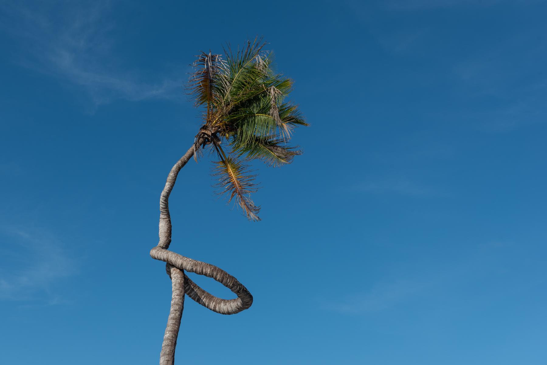 Ocean Room with Twisted Palm View at Be Zanzibar - photo 1