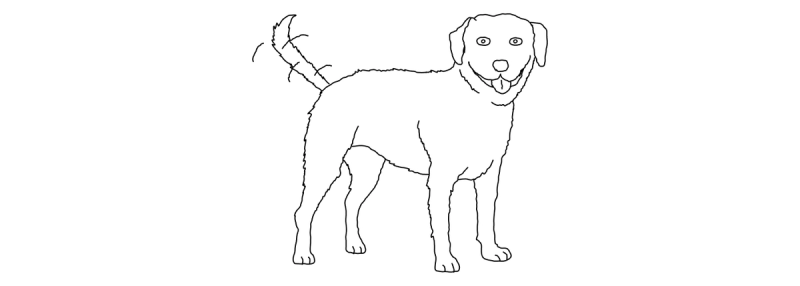 A dog standing