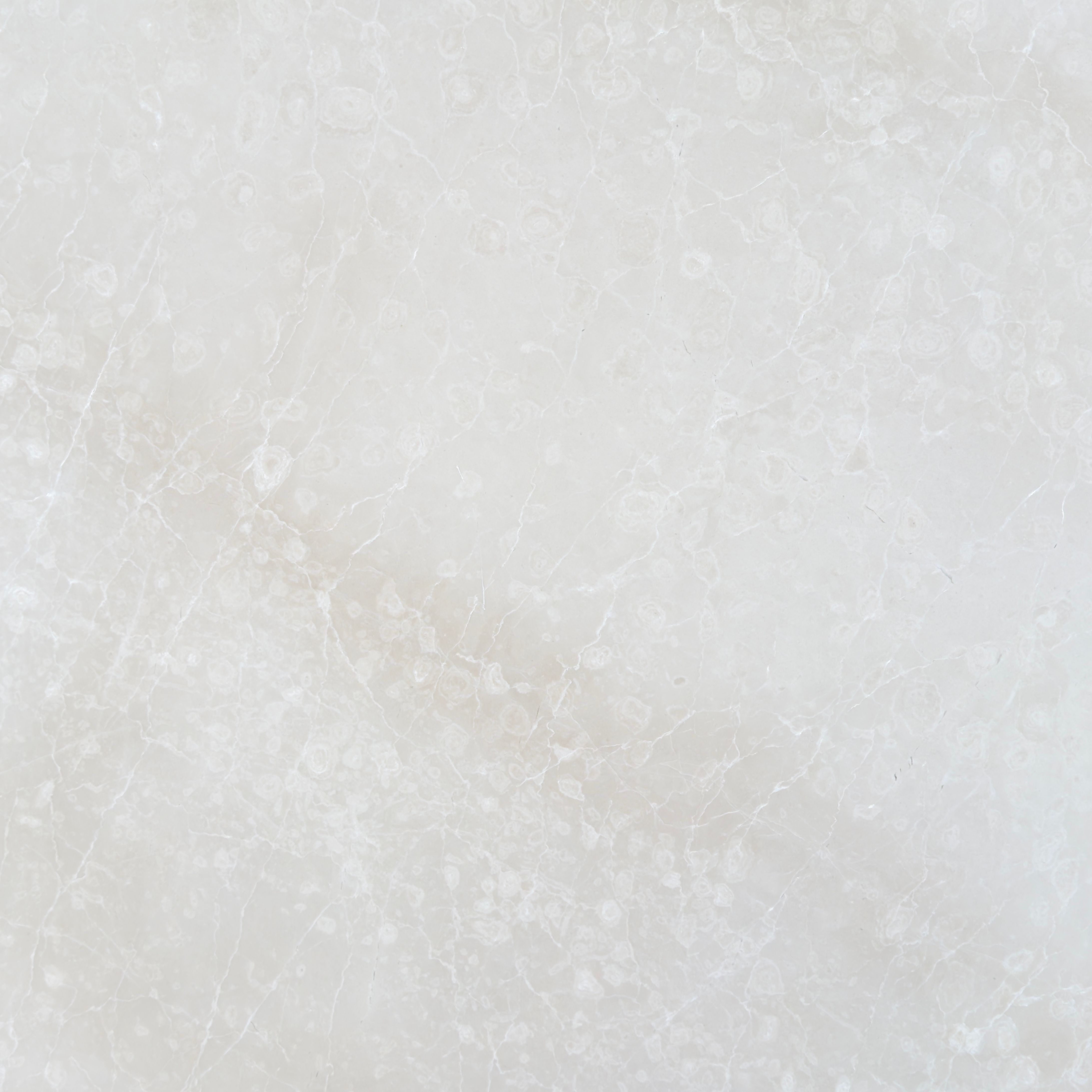 Honed Botticino Fiorito marble tile in creamy oyster with white flowery veining
