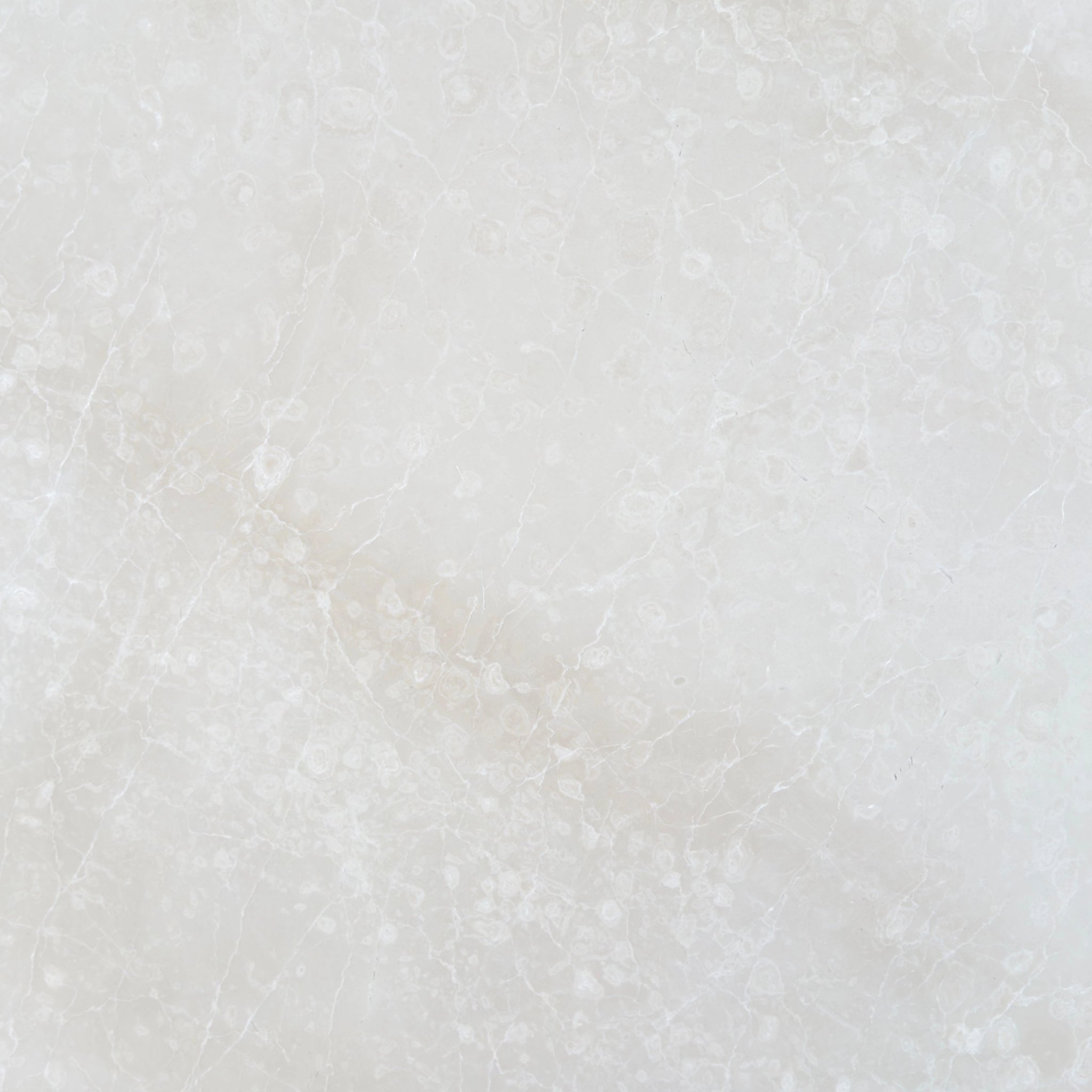 Honed Botticino Fiorito marble tile in creamy oyster with white flowery veining