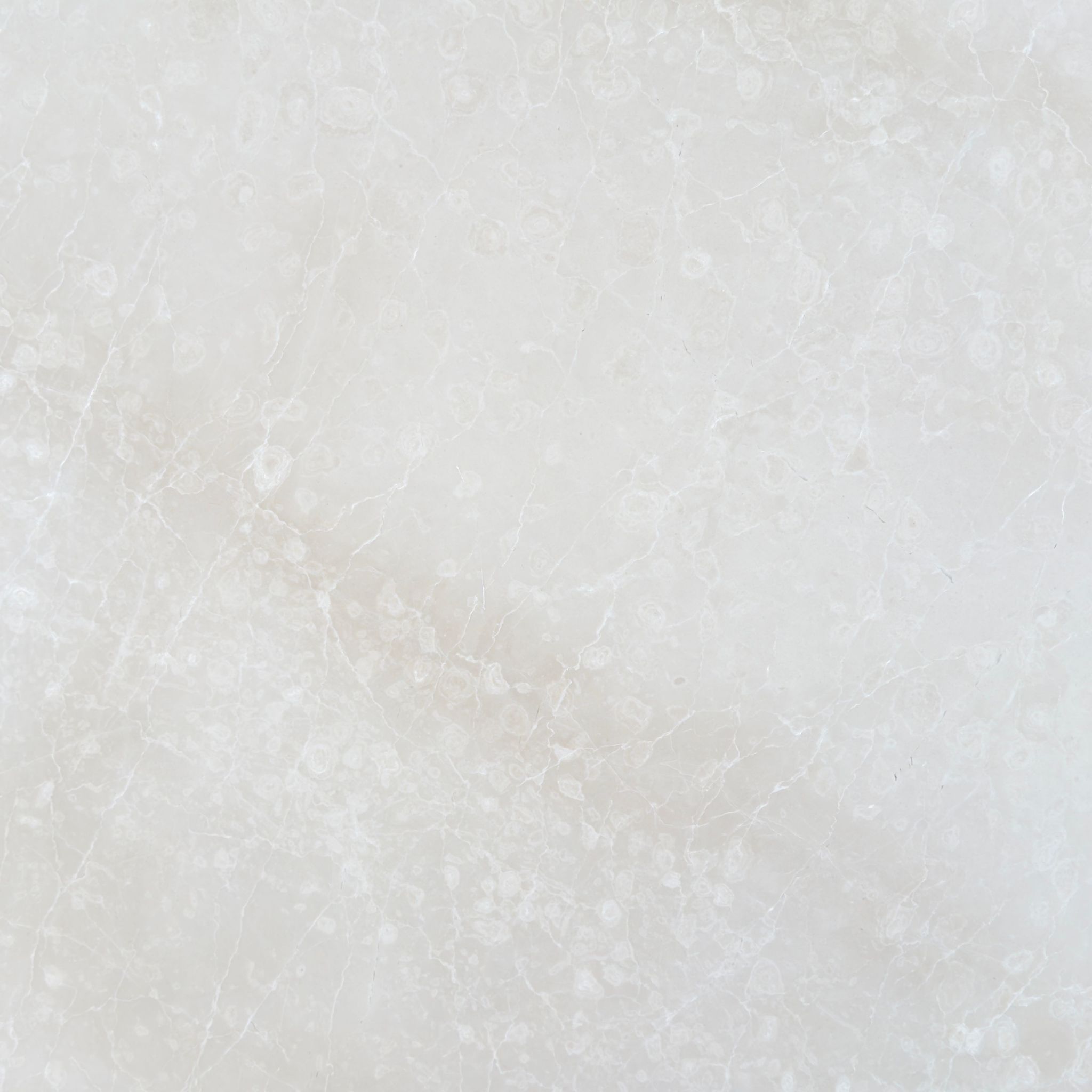 Honed Botticino Fiorito marble tile in creamy oyster with white flowery veining