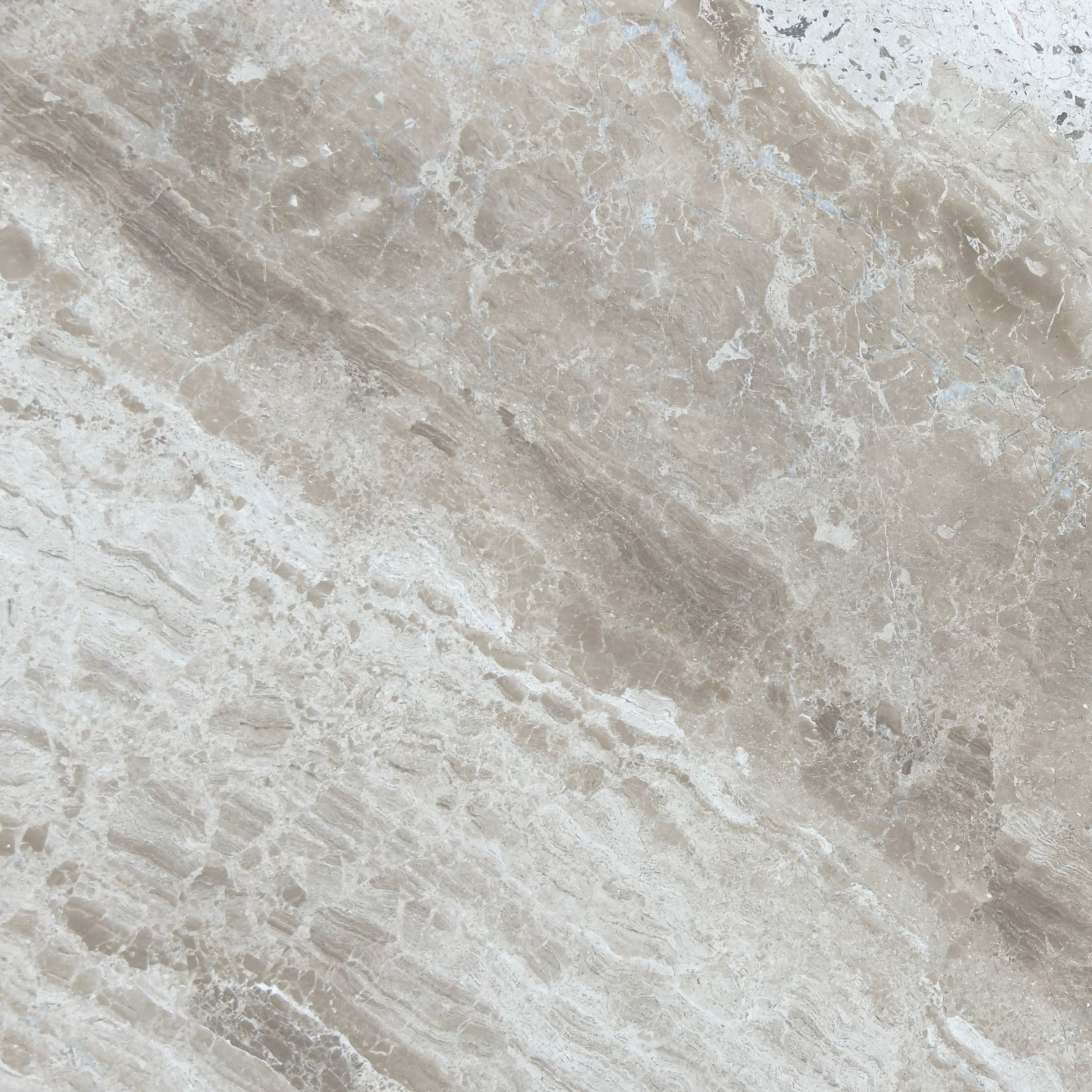 Honed Diana Royal marble tile in fawn, taupe and creamy beige with undulating veining