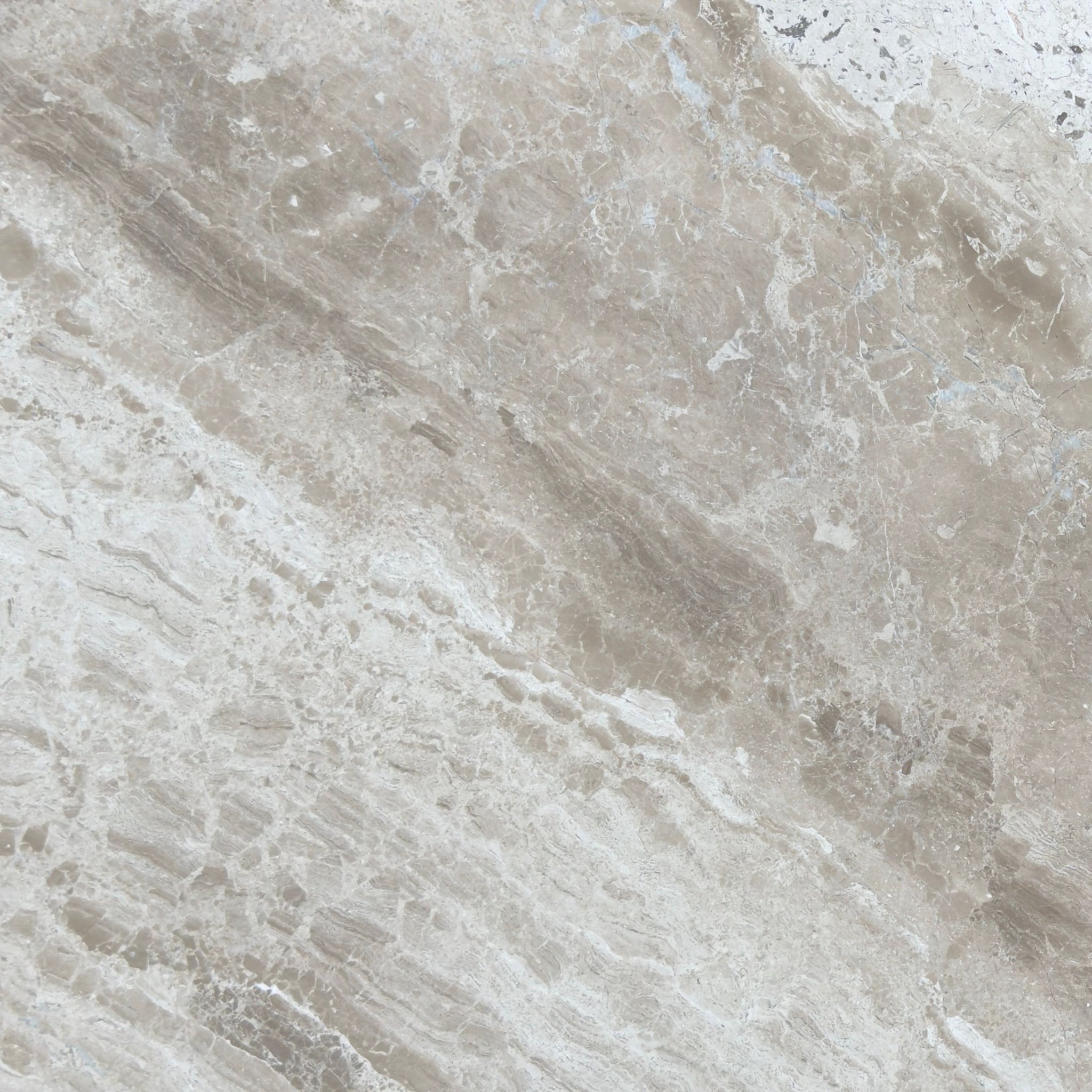 Honed Diana Royal marble tile in fawn, taupe and creamy beige with undulating veining