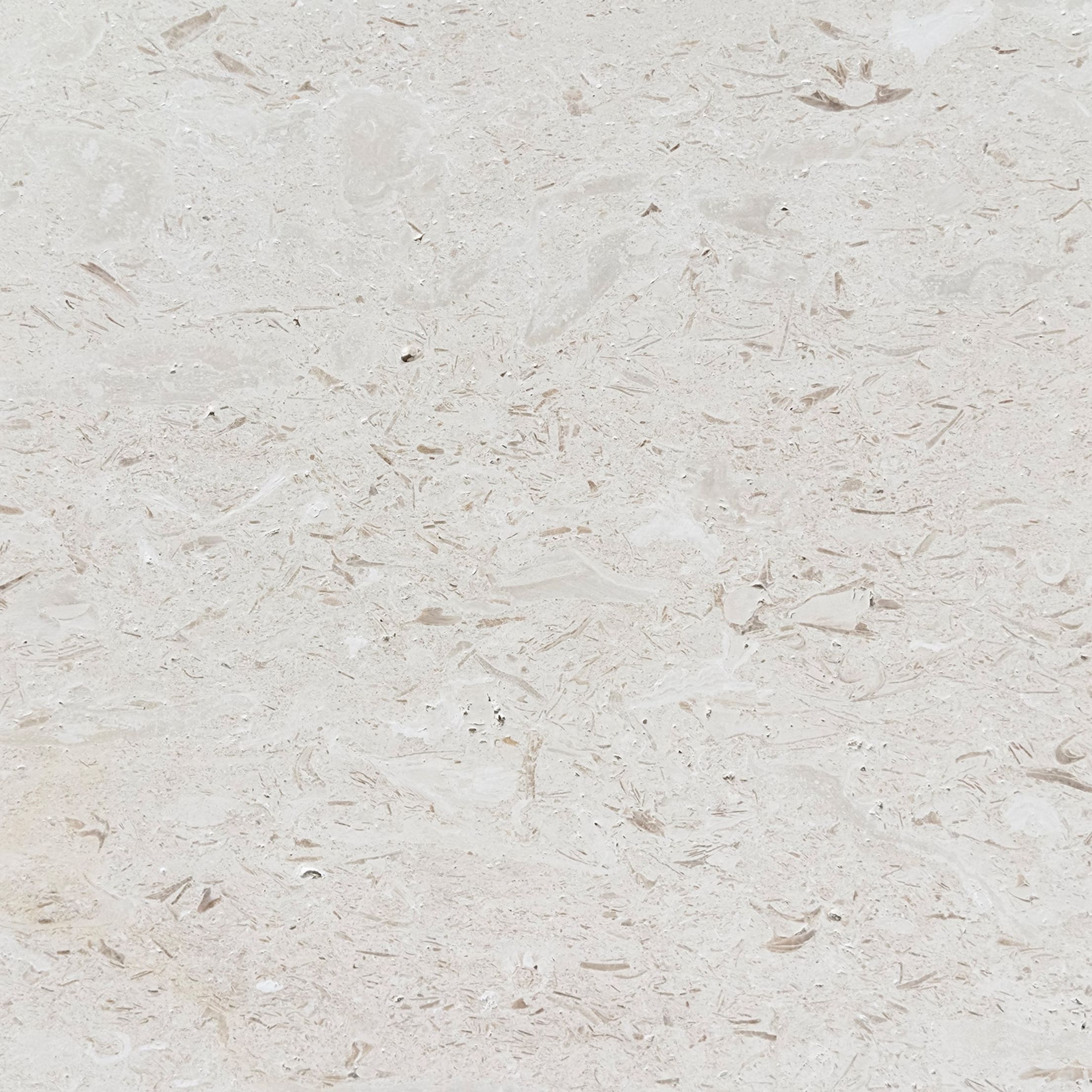 Brushed Shellstone limestone tile in creamy ivory and warm sand with fossils