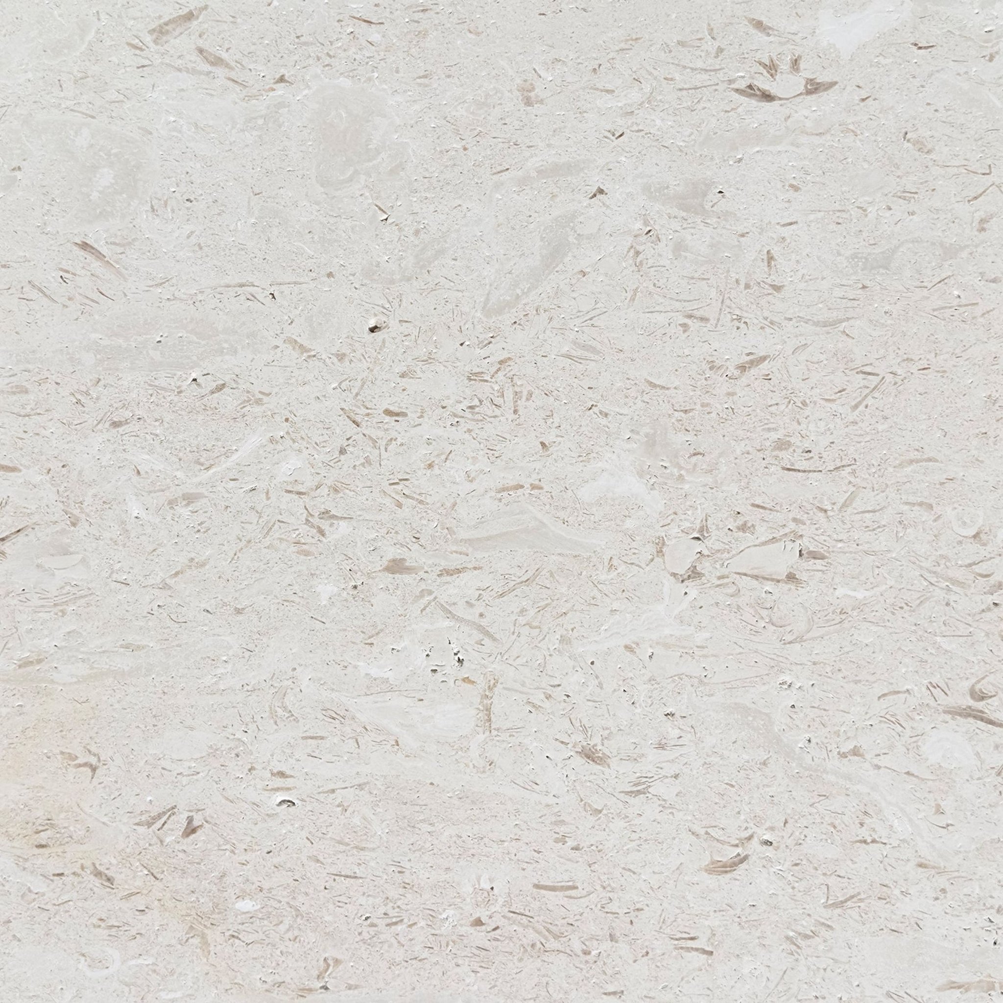 Brushed Shellstone limestone tile in creamy ivory and warm sand with fossils