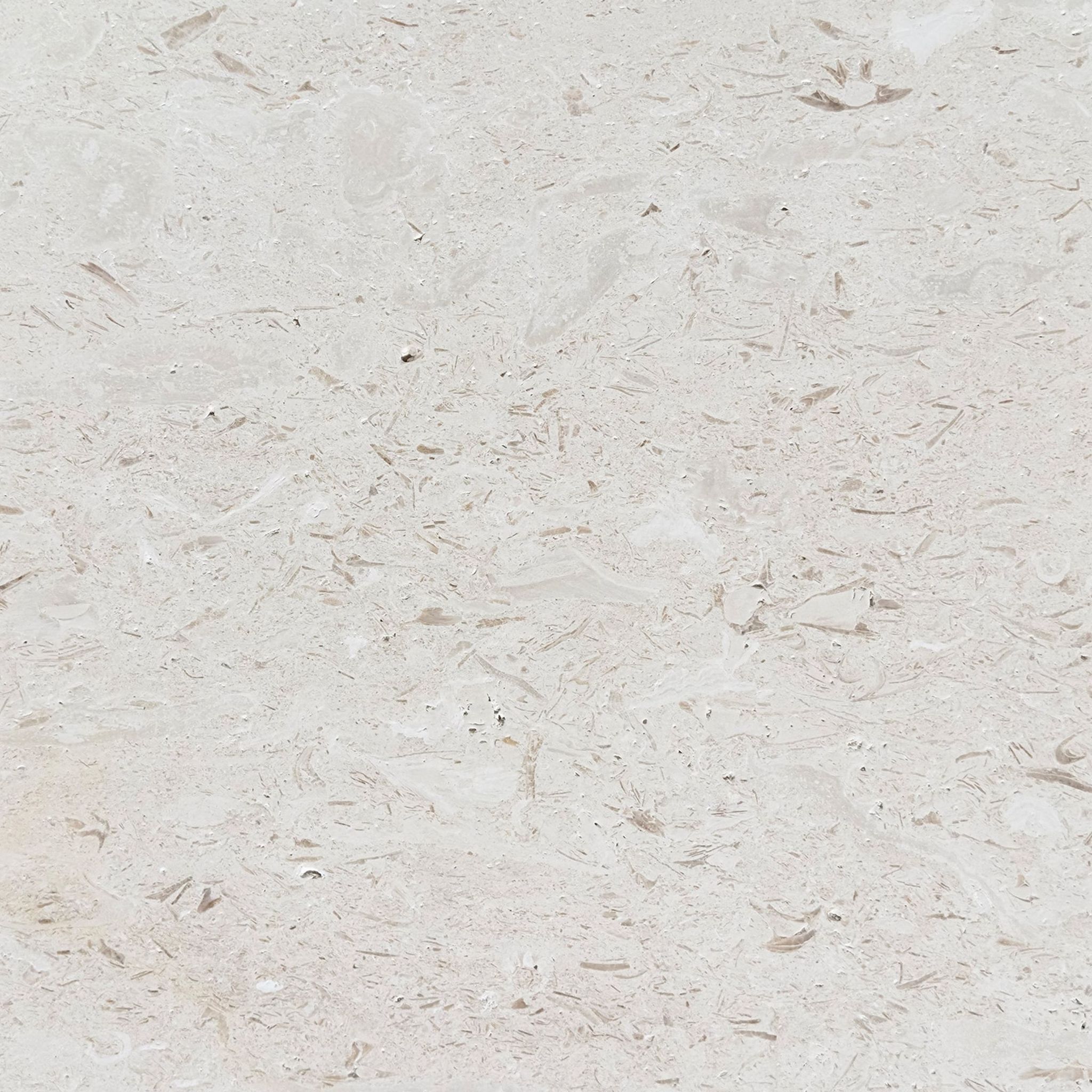 Brushed Shellstone limestone tile in creamy ivory and warm sand with fossils