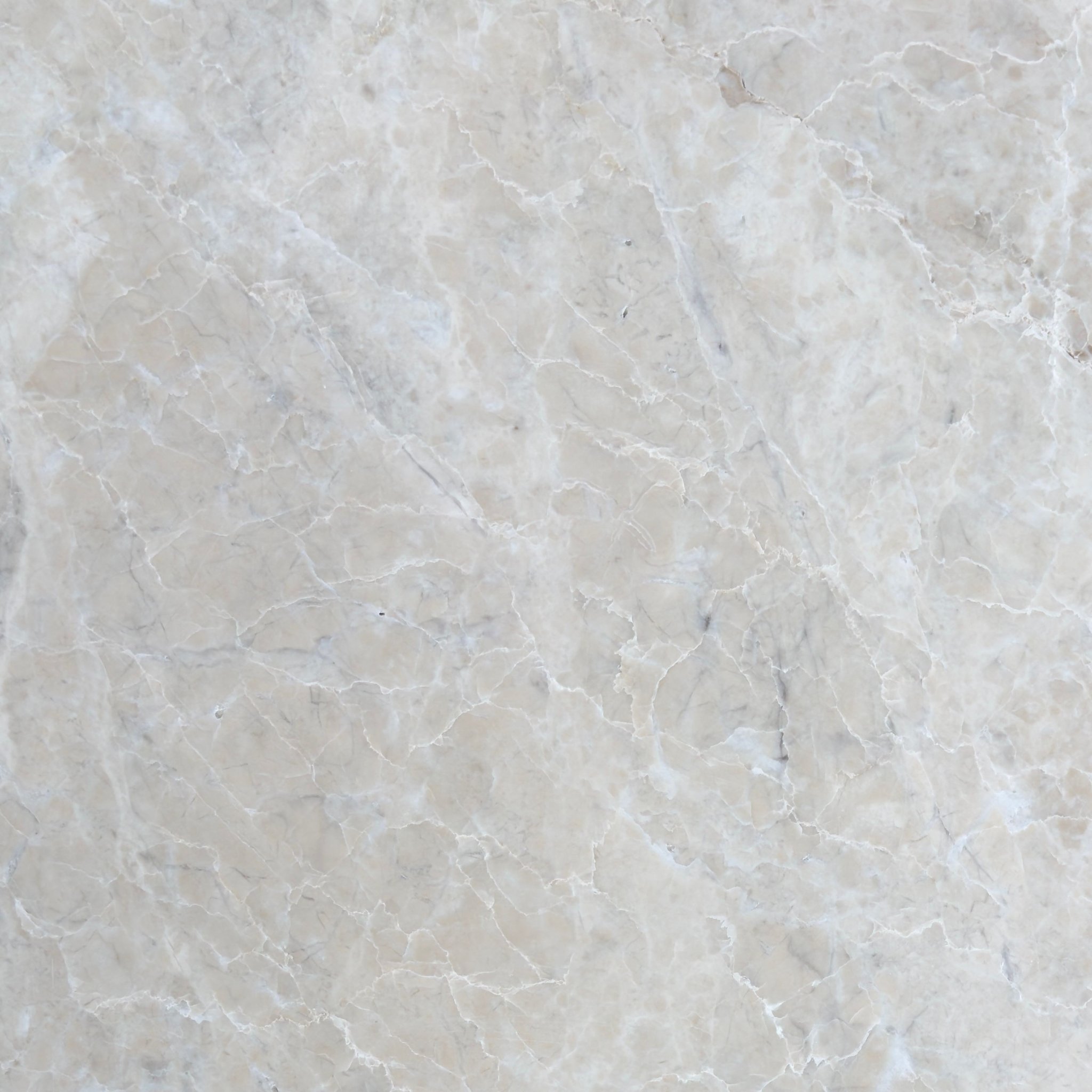 Polished Platinum marble tile in pearlescent dove grey and alabaster with white veining
