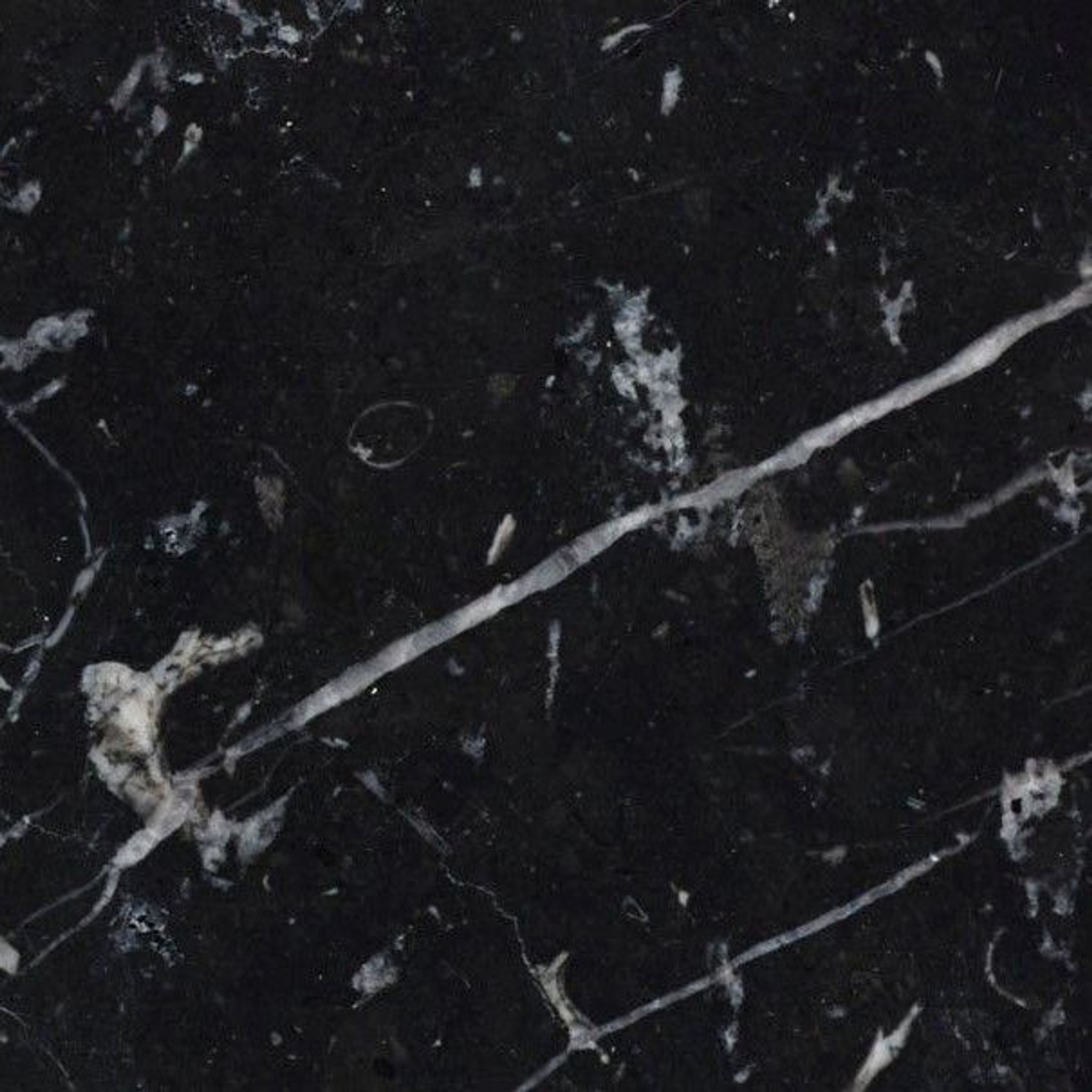 Polished Nero Marquina Select black marble tile, obsidian with white lightning veining
